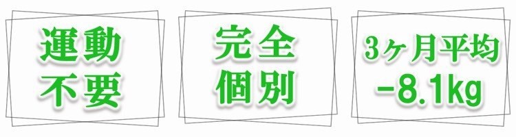 運動不要・完全個別・3ヶ月平均-8.1kg